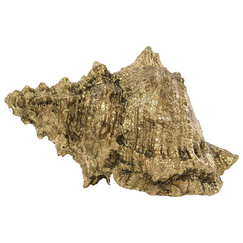 GOLD CONCH SHELL 13CM