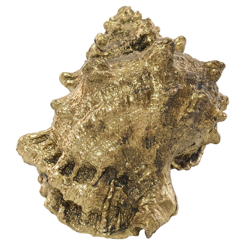 GOLD CONCH SHELL 13CM
