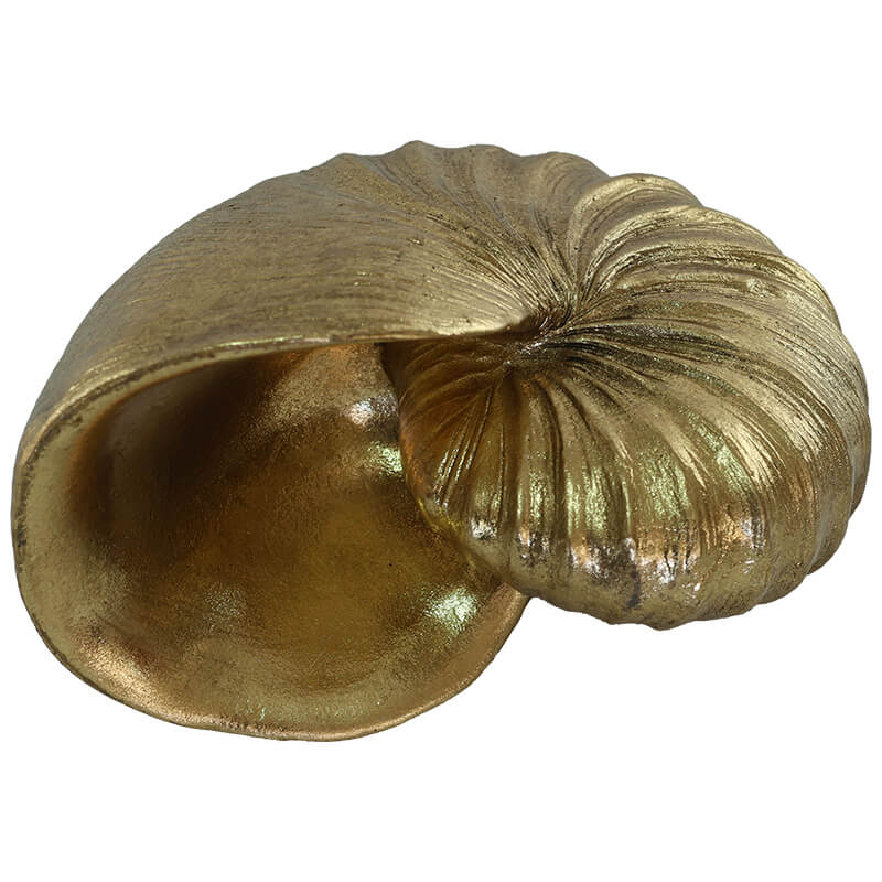 GOLD NAUTILUS SHELL 15CM